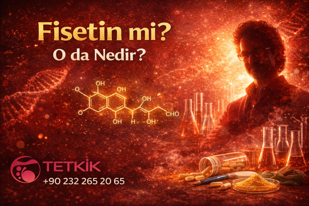 Fisetin mi? O da Nedir?