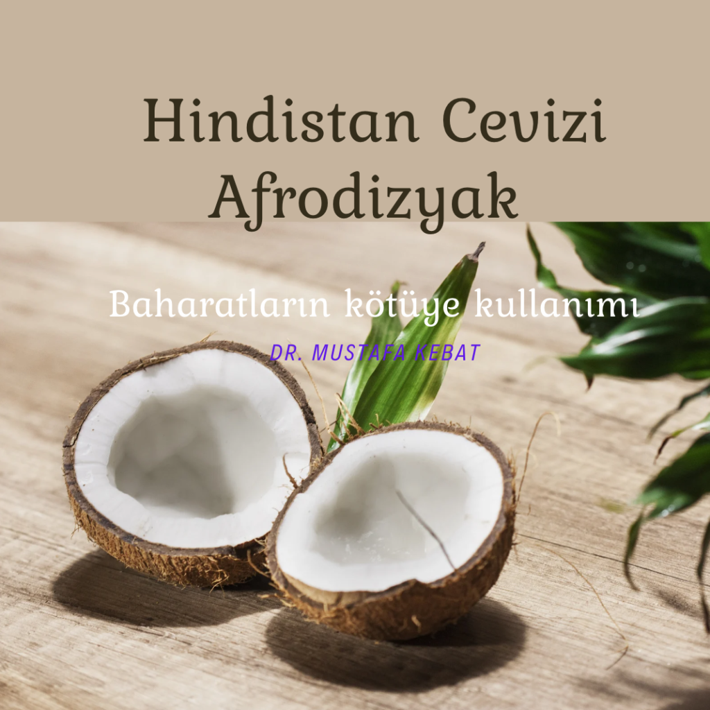 Afrodizyak Hindistan Cevizi