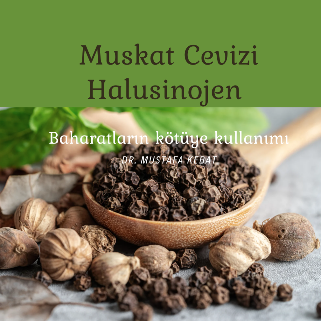 Halusinojen Muskat Cevizi
