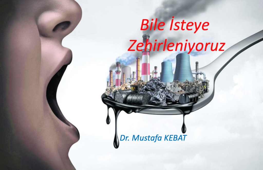 Zehirlenmeyi Siz Tercih Ediyorsunuz!