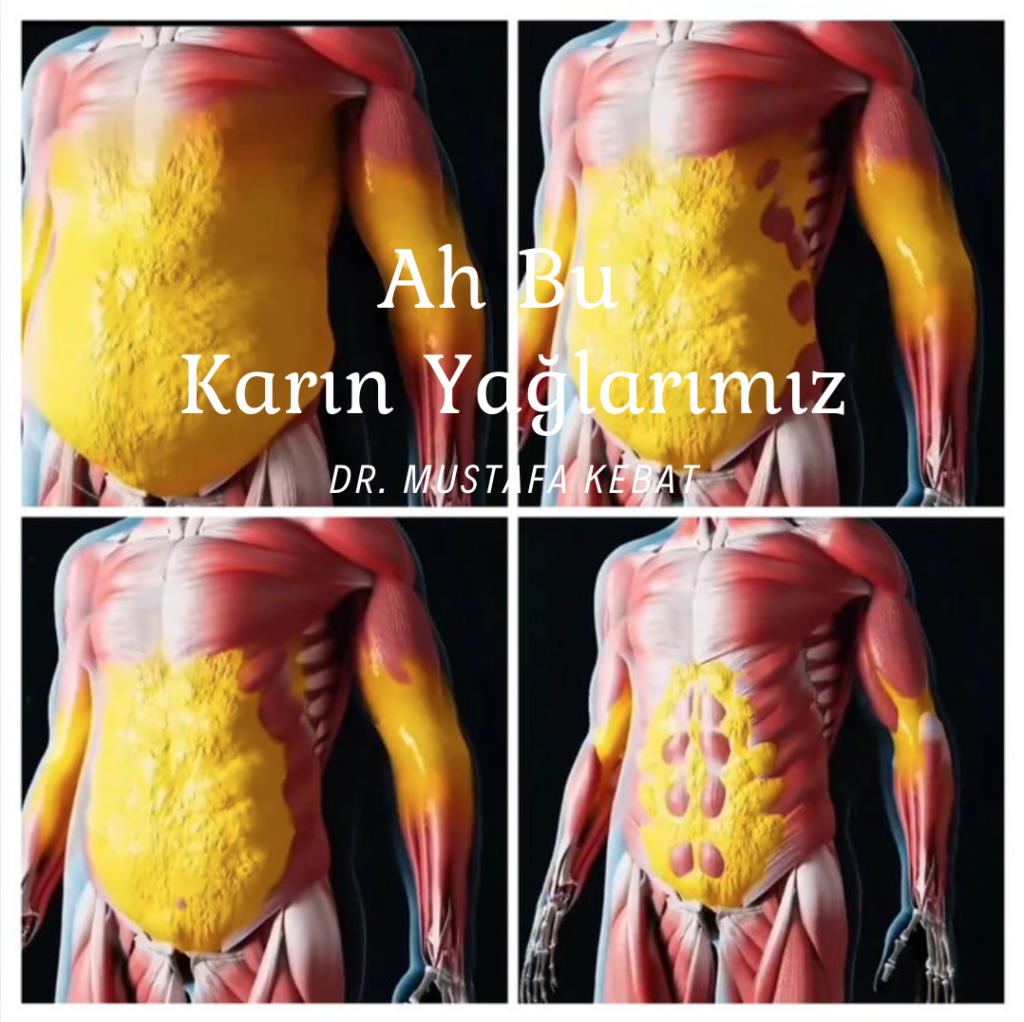 Ah Bu Karın Yağlarımız