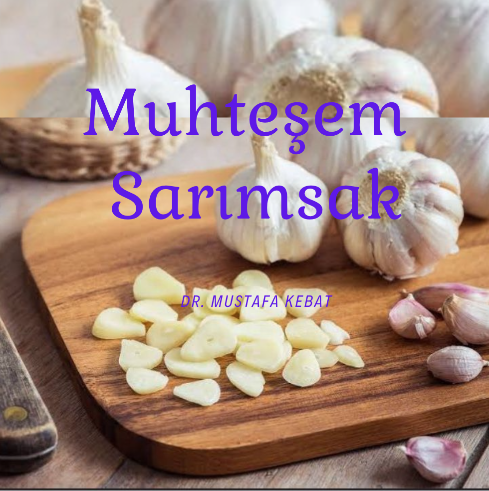 Kalp Damar Sisteminiz İçin Muhteşem Sarımsak