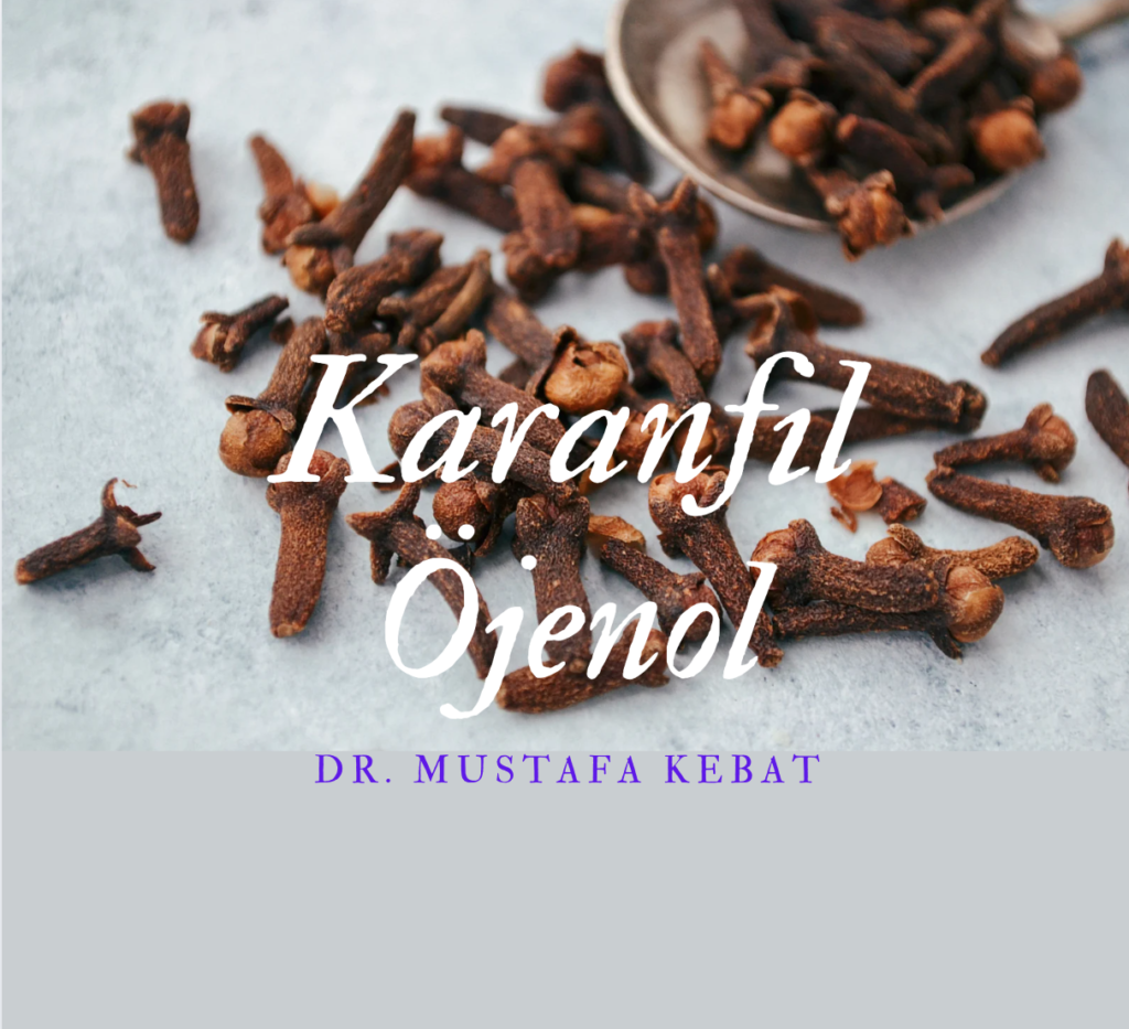 Karanfil - Öjenol