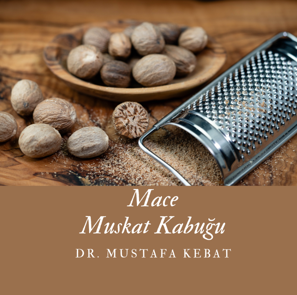 Mace - Muskat Kabuğu