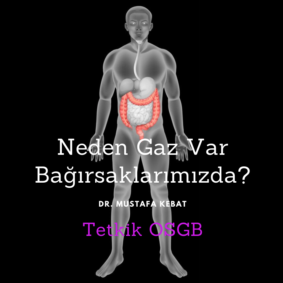 Neden Gaz Var Bağırsaklarımızda?