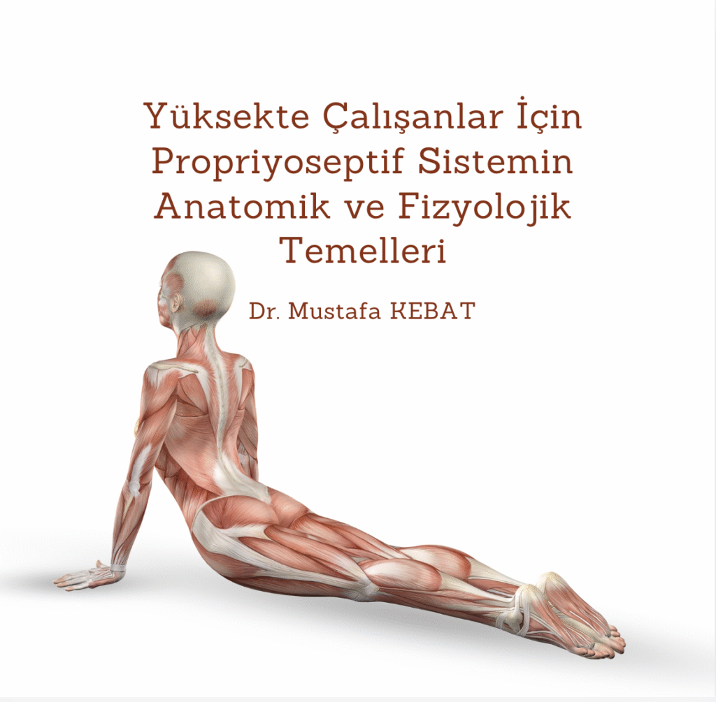 Yüksekte Çalışanlar İçin Propriyoseptif Sistemin Anatomik ve Fizyolojik Temelleri