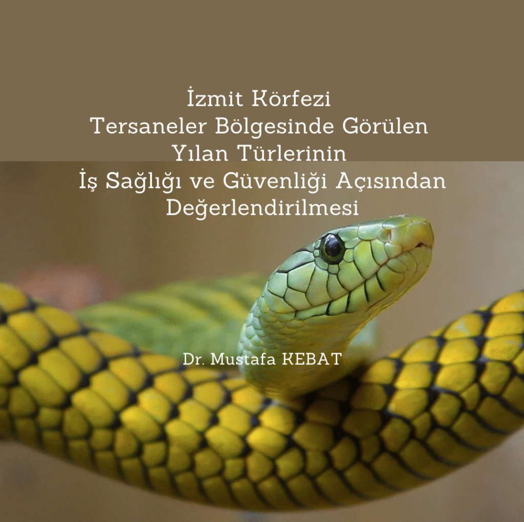İzmit Körfezi Tersaneler Bölgesinde Görülen Yılan Türlerinin İş Sağlığı ve Güvenliği Açısından Değerlendirilmesi