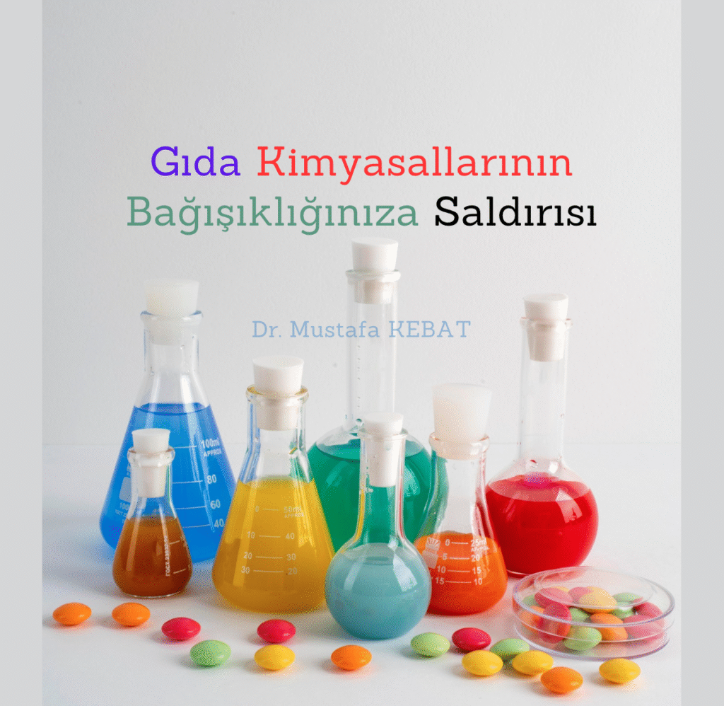 Gıda Kimyasallarının Bağışıklığınıza Saldırısı