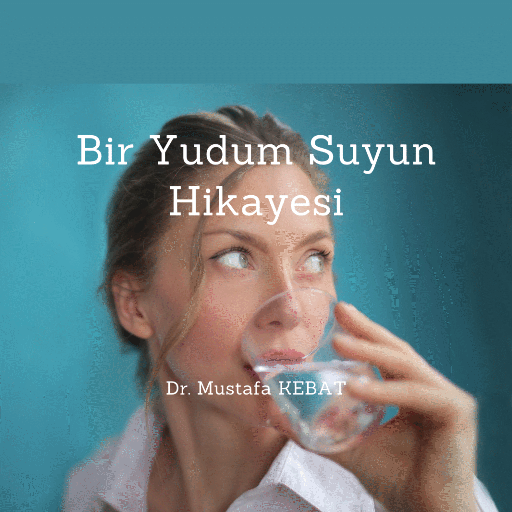Bir Yudum Suyun Hikayesi