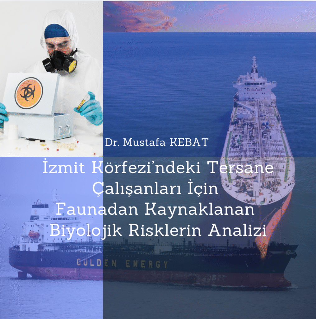 İzmit Körfezi’ndeki Tersane Çalışanları İçin Faunadan Kaynaklanan Biyolojik Risklerin Analizi