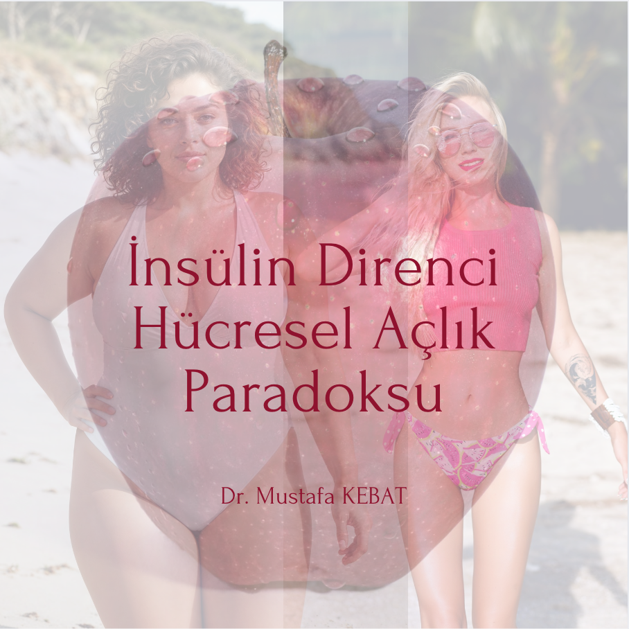 İnsülin Direnci - Hücresel Açlık Paradoksu
