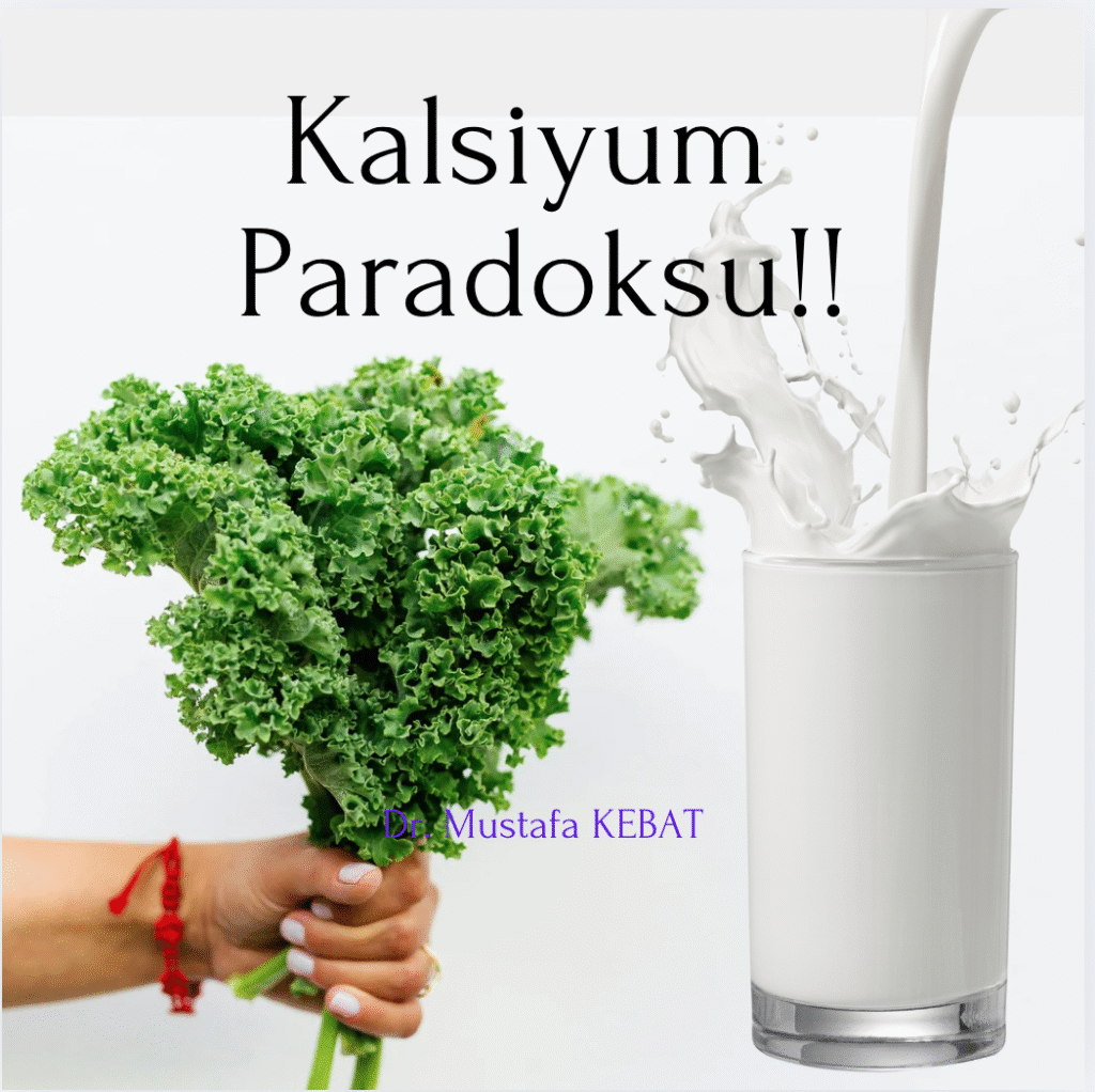 Kalsiyum Paradoksu!!