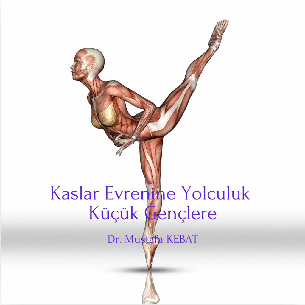 Kaslar Evrenine Yolculuk - Küçük Gençlere