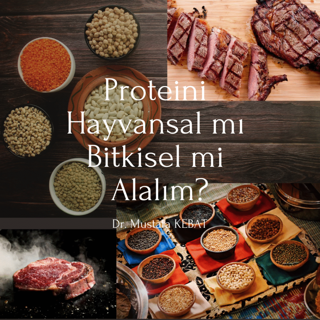Proteini Hayvansal mı Bitkisel mi Alalım?