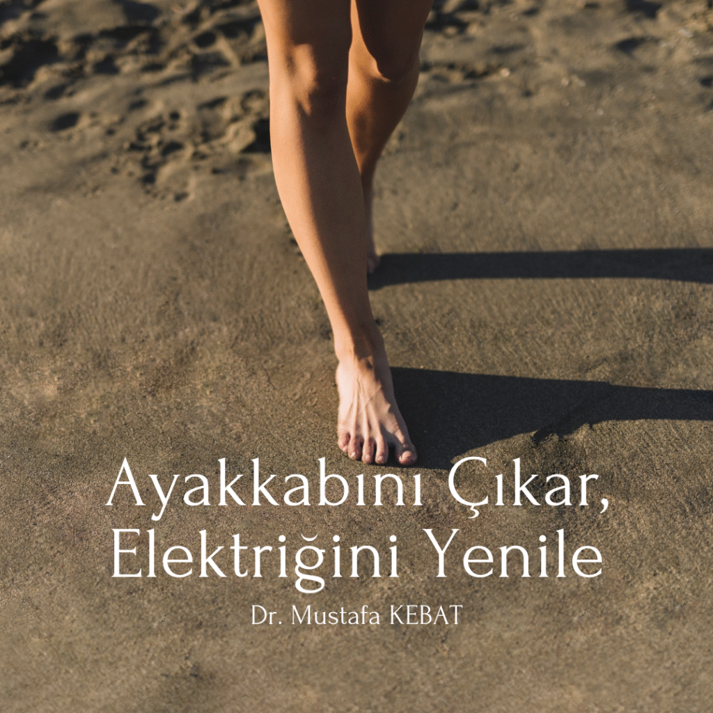 Ayakkabını Çıkar, Elektriğini Yenile