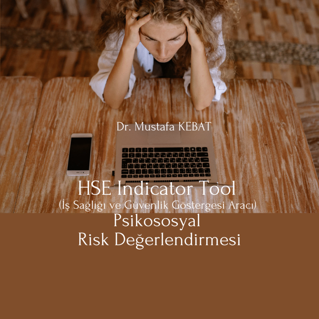 HSE Indicator Tool (İş Sağlığı ve Güvenlik Göstergesi Aracı) Psikososyal Risk Değerlendirmesi