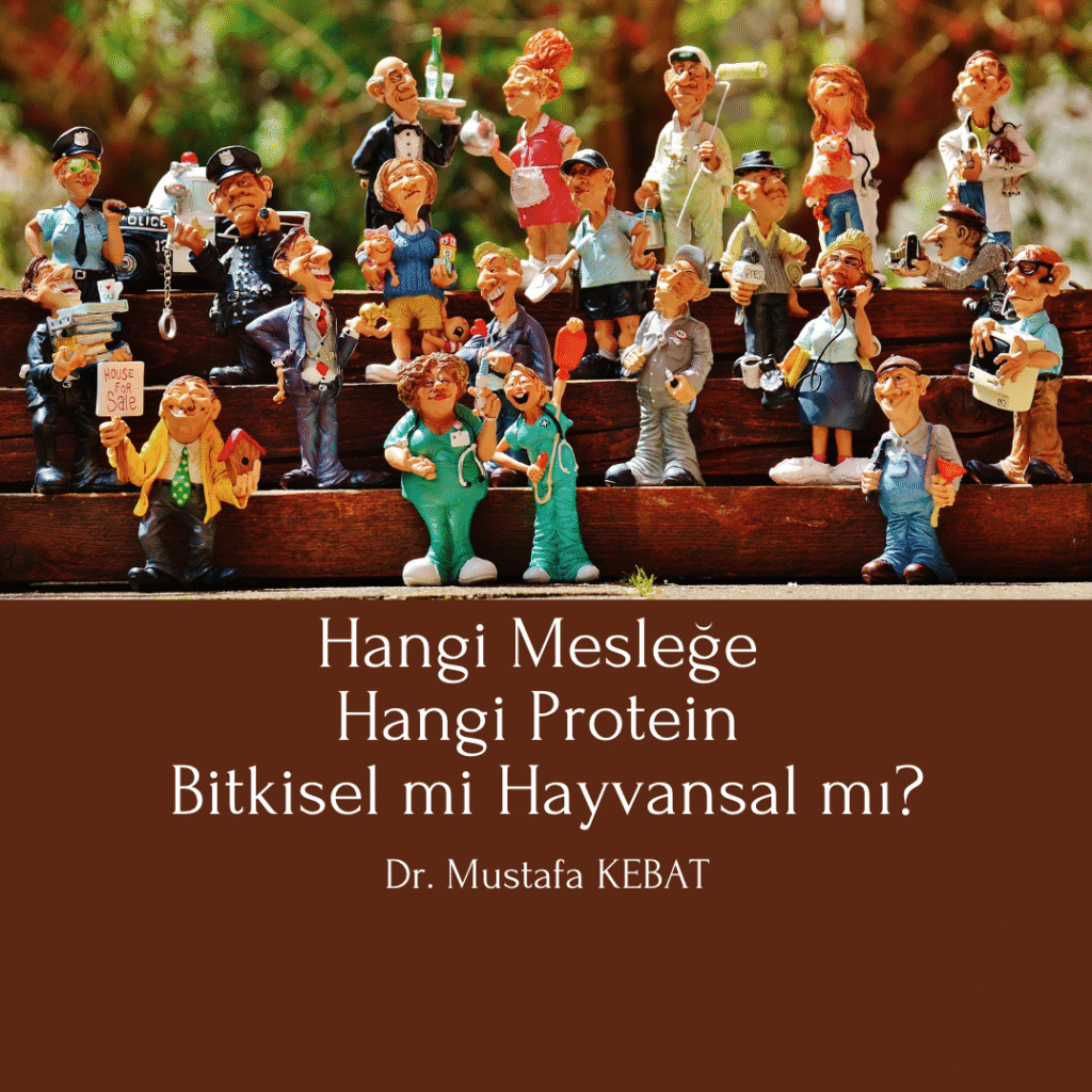 Hangi Mesleğe Hangi Protein - Bitkisel mi Hayvansal mı?