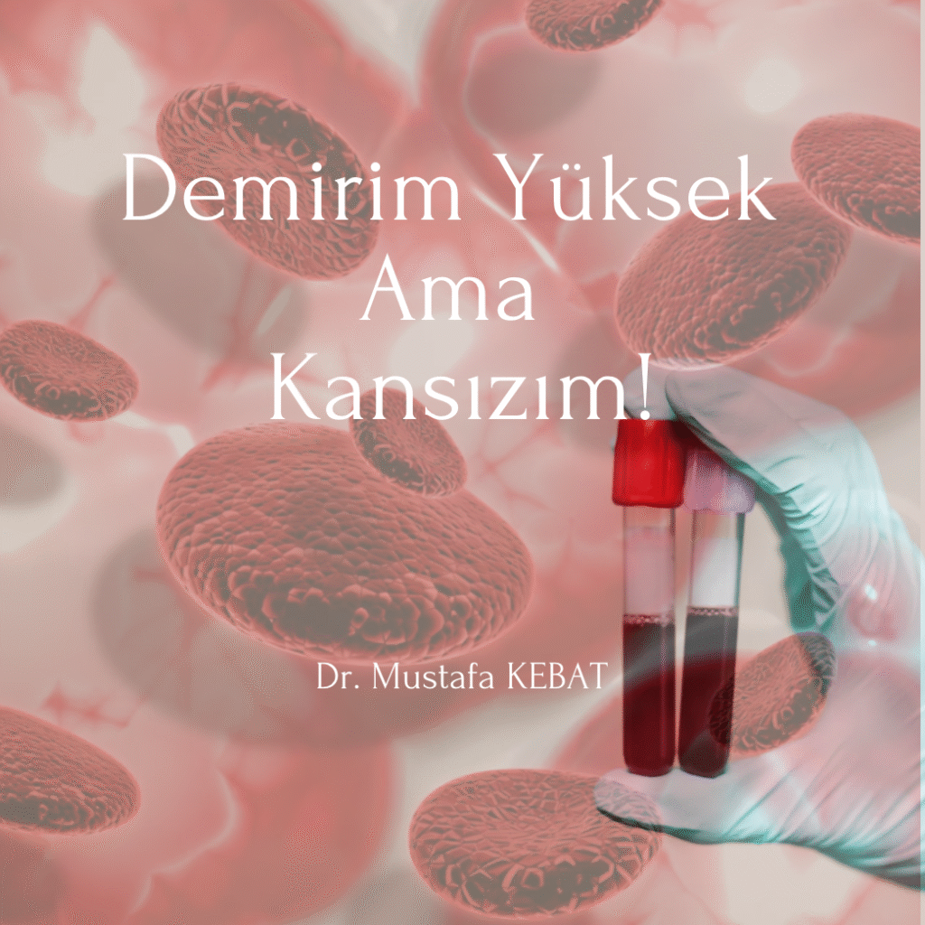 Demirim Yüksek Ama Kansızım!