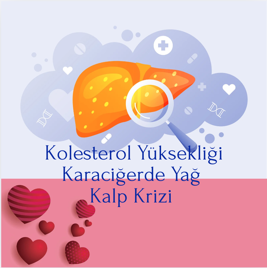 Kolesterol Yüksekliği, Karaciğerde Yağ, Kalp Krizi - Zincir Reaksiyon