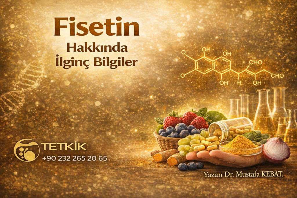 Fisetin Hakkında İlginç Bilgiler