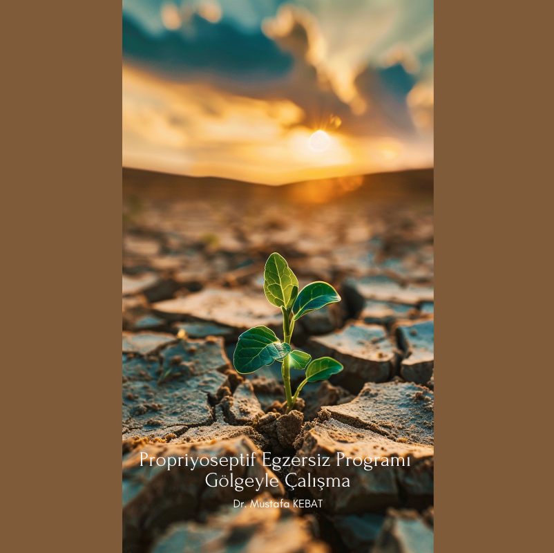 Propriyoseptif Egzersiz Programı – Gölgeyle Çalışma