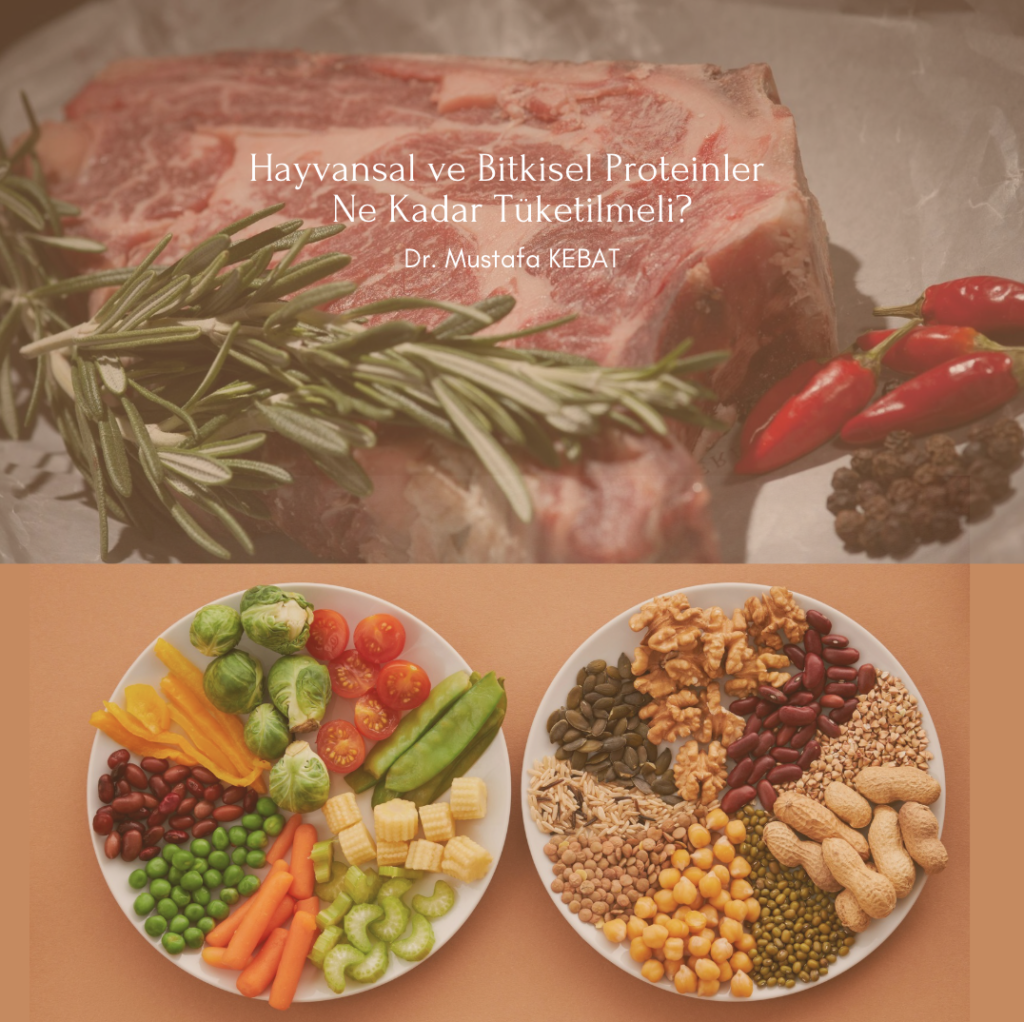 Hayvansal ve Bitkisel Proteinler Ne Kadar Tüketilmeli?
