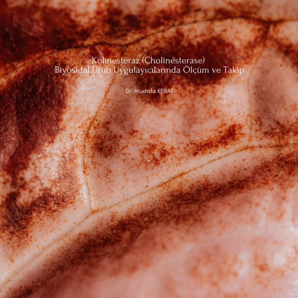 Kolinesteraz (Cholinesterase) - Biyosidal Ürün Uygulayıcılarında Ölçüm ve Takip
