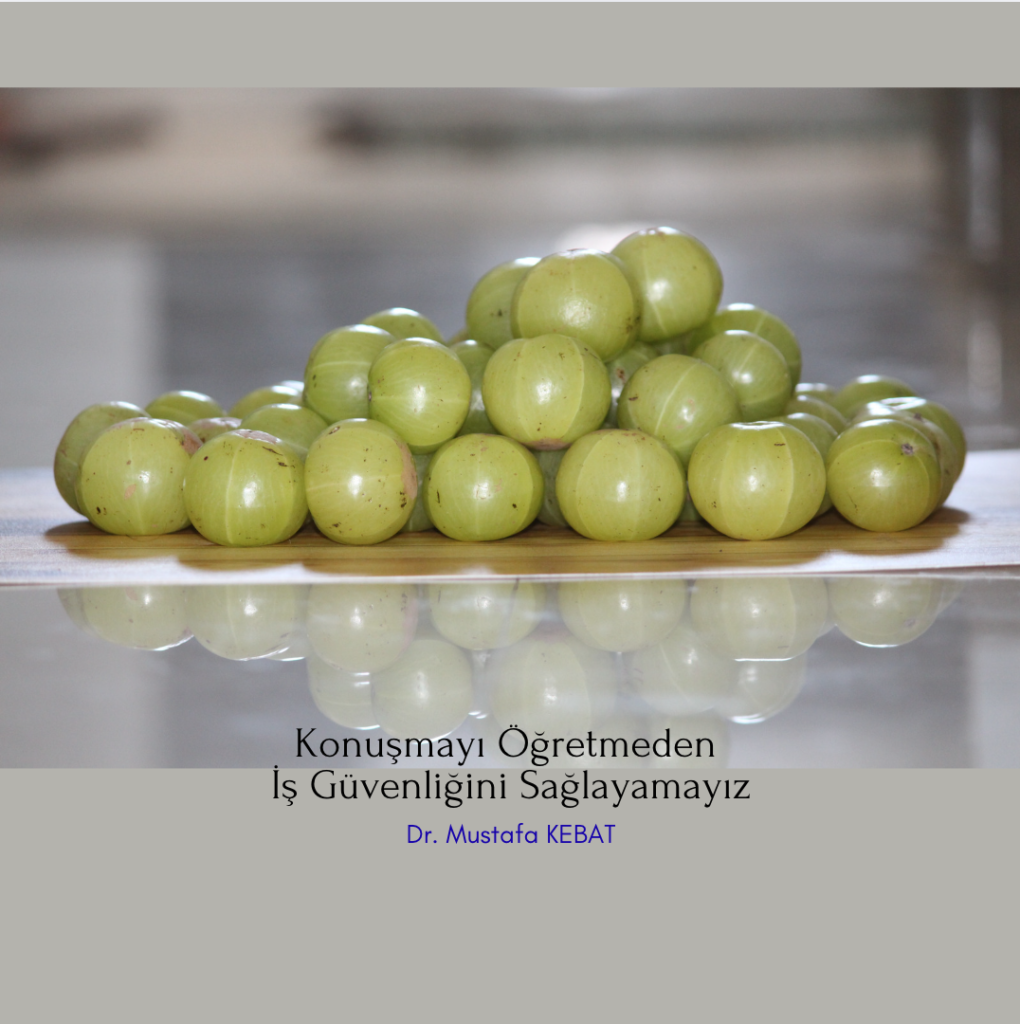 Konuşmayı Öğretmeden İş Güvenliğini Sağlayamayız