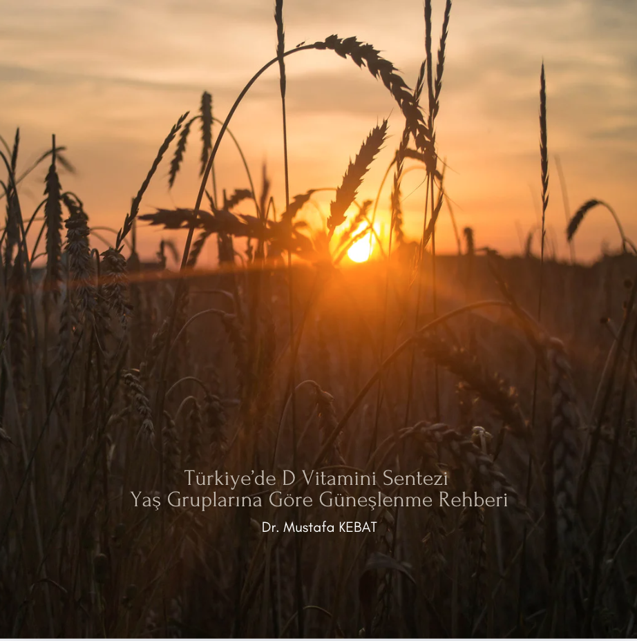 Türkiye’de D Vitamini Sentezi - Yaş Gruplarına Göre Güneşlenme Rehberi