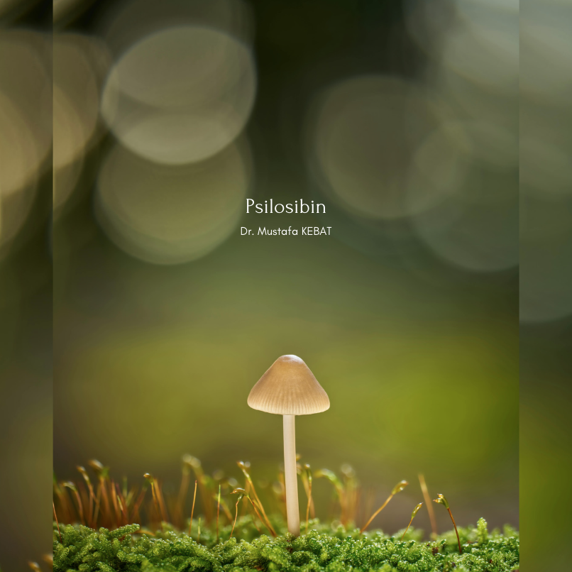 Psilosibin Ne Biliyor musunuz?