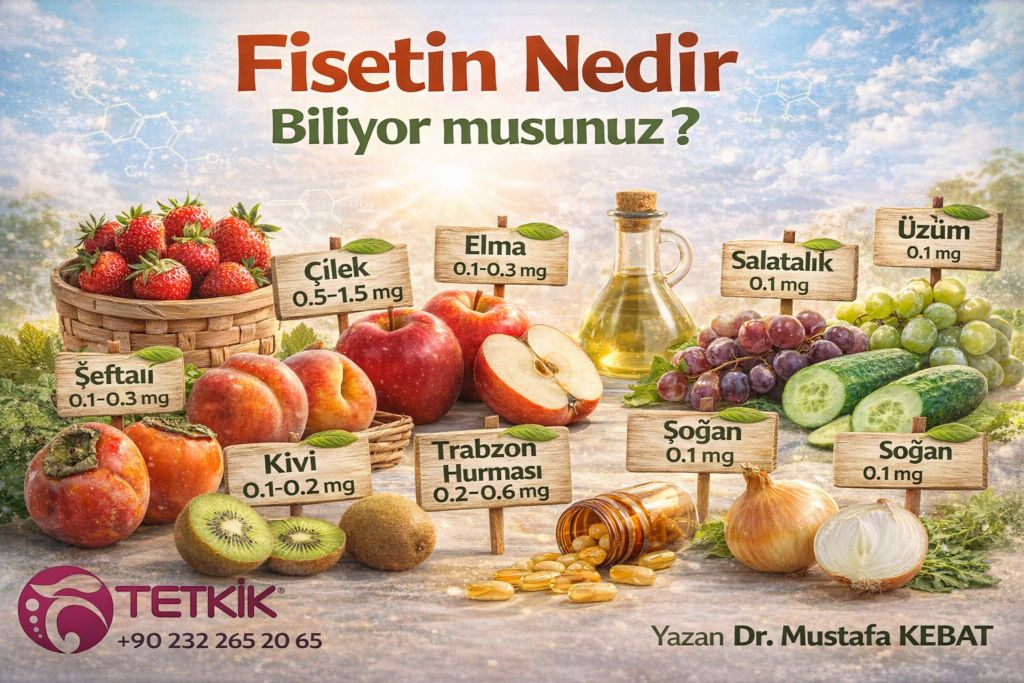 Fisetin Nedir Biliyor musunuz?