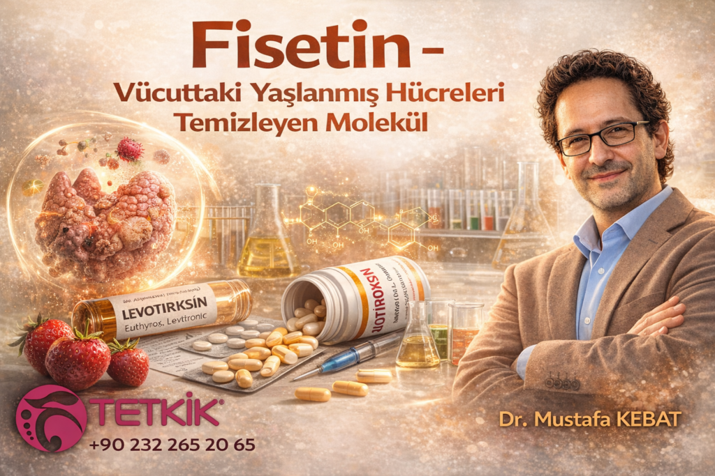 Fisetin - Vücuttaki Yaşlanmış Hücreleri Temizleyen Molekül