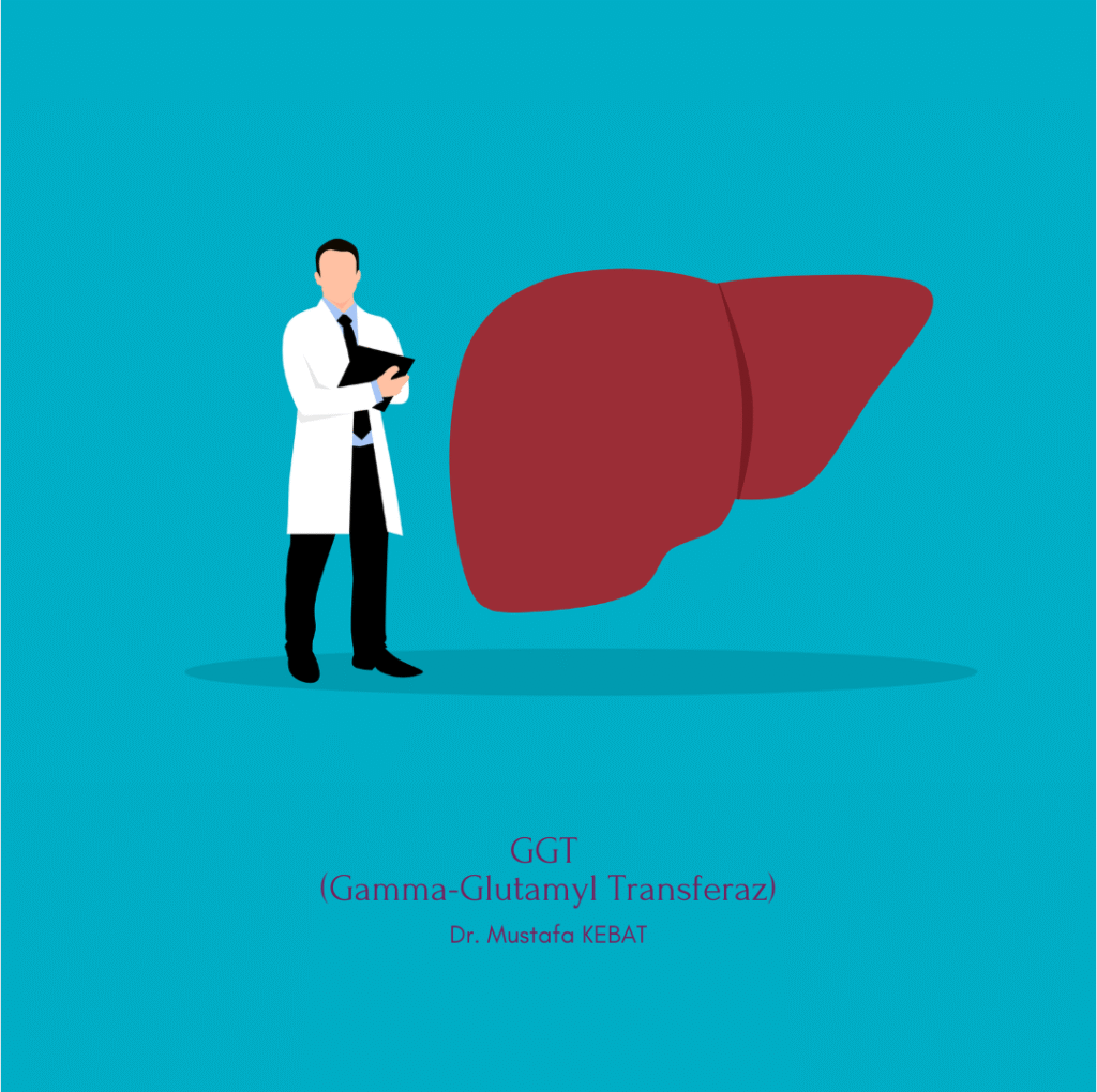 GGT (Gamma-Glutamyl Transferaz)