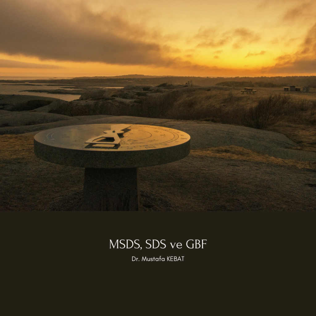 MSDS, SDS ve GBF