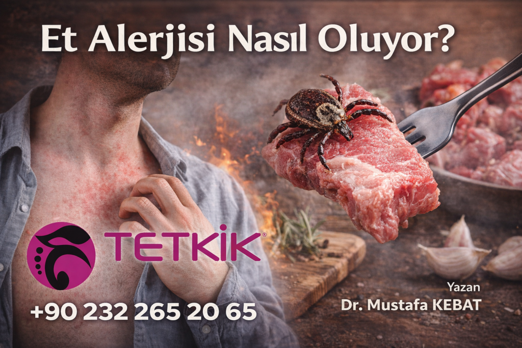 Et Alerjisi Nasıl Oluyor?